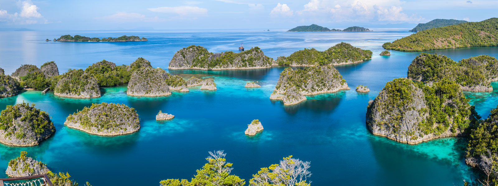 raja-ampat,destination,diving,sea-safari,leisure,indonesia